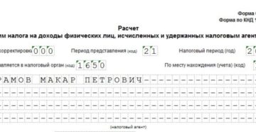 Куда сдавать отчет 6-НДФЛ ИП на ЕНВД