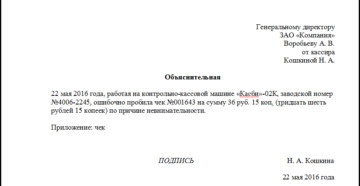 Ошибочно выбитый чек