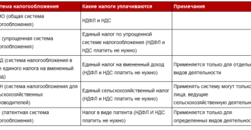 Какую систему налогообложения выбрать для работы хостела