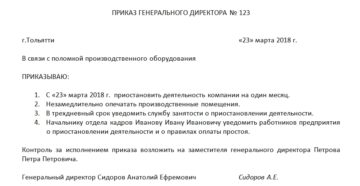 Образец приказа о временном приостановлении деятельности